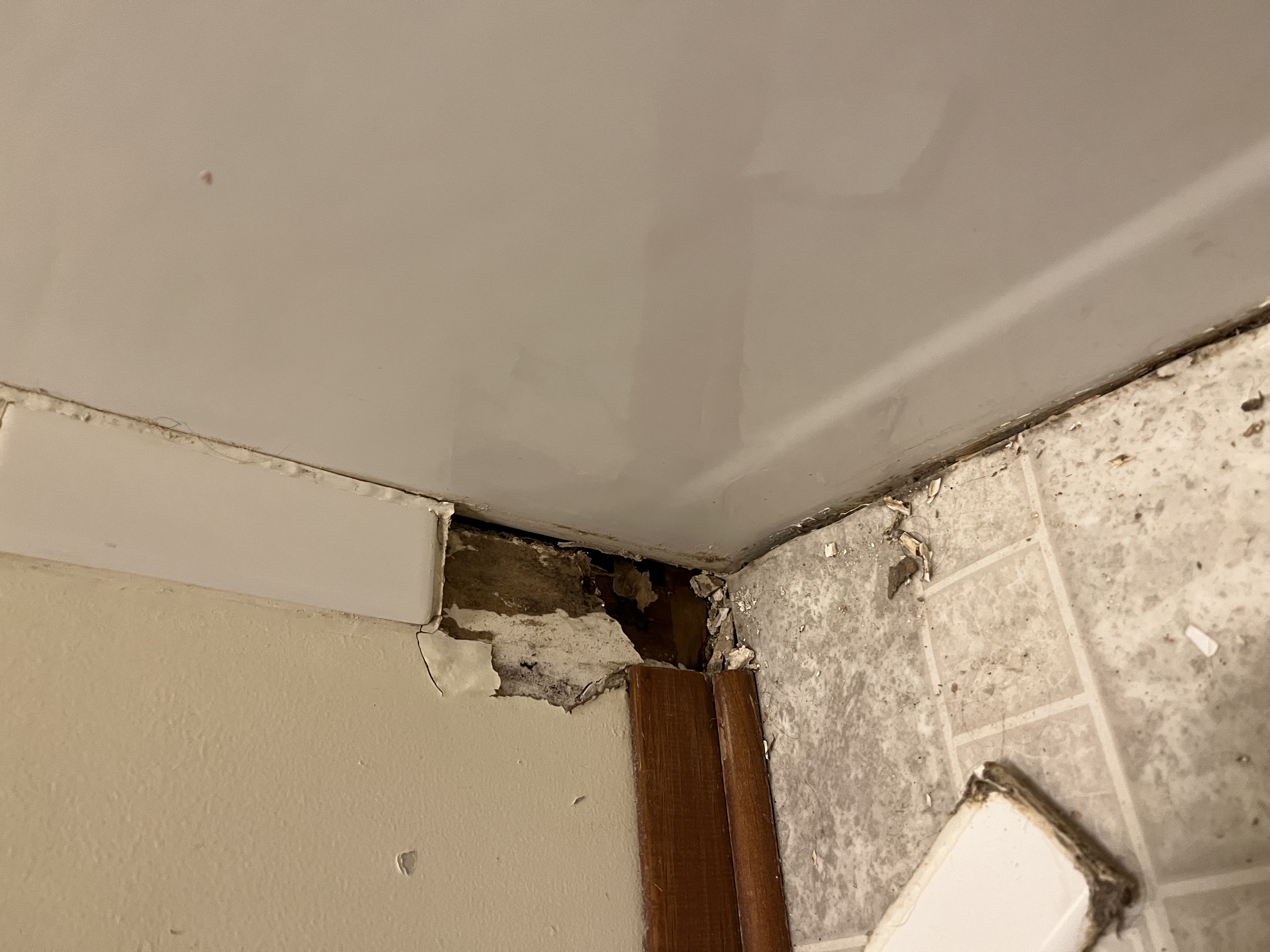 Tile Repair Before